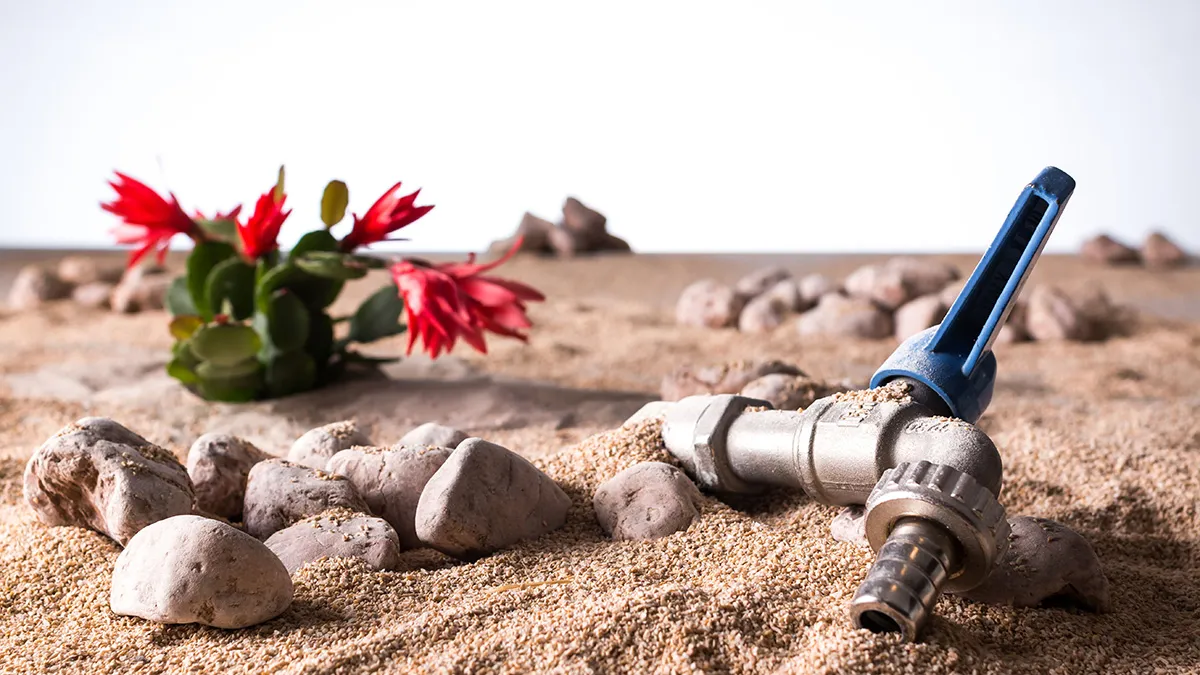 How to Conserve Water During a Texas Summer Drought