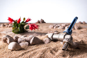 How to Conserve Water During a Texas Summer Drought